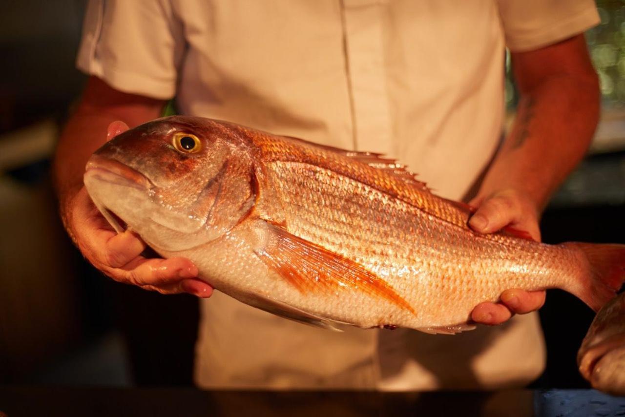 Pleta De Mar, Grand Luxury Hotel By Nature - Adults Only Canyamel  Ngoại thất bức ảnh